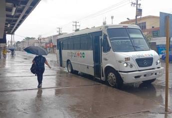 Transporte urbano trabaja con normalidad en Los Mochis pese a tormenta Ileana