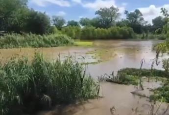 Productores pueden aprovechar lluvia de Ileana para sembrar: Conagua