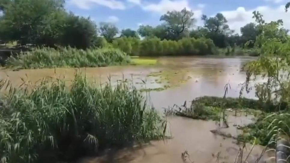 Productores pueden aprovechar lluvia de Ileana para sembrar: Conagua