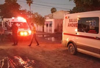 Ataque de abejas en la colonia Ferrusquilla de Los Mochis envía a dos menores y un adulto al hospital