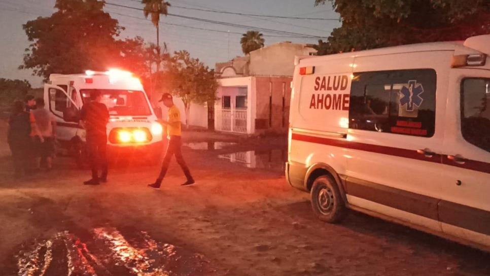 Ataque de abejas en la colonia Ferrusquilla de Los Mochis envía a dos menores y un adulto al hospital