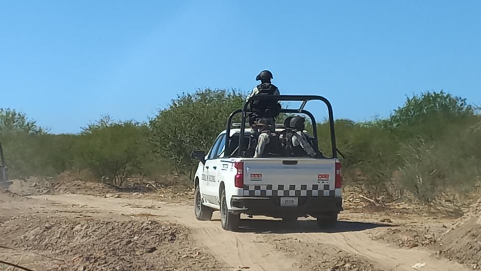 Autoridades localizan un tigre tras operativos en Elota