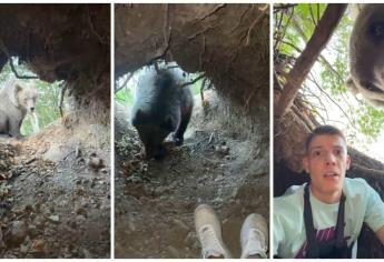 Influencer entra a una guarida y se encuentra cara a cara con un oso salvaje | VIDEO