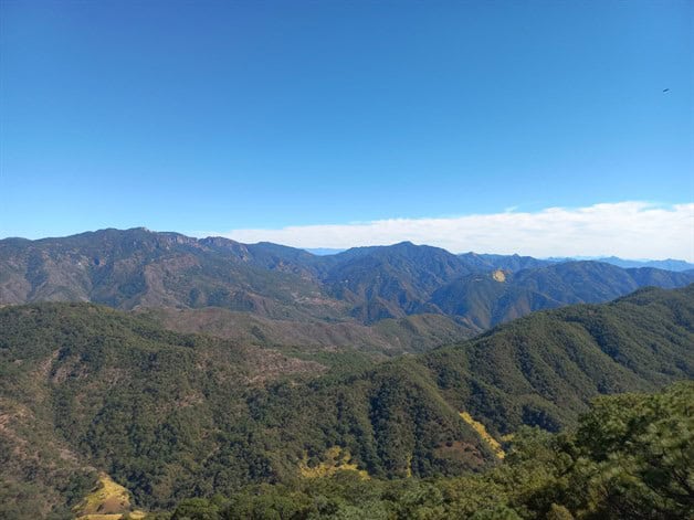 Imagen Placeholder Imagen Placeholder