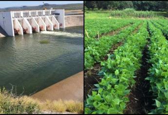 En octubre se definirá el Plan de Riegos del otoño-invierno para Sinaloa: Conagua