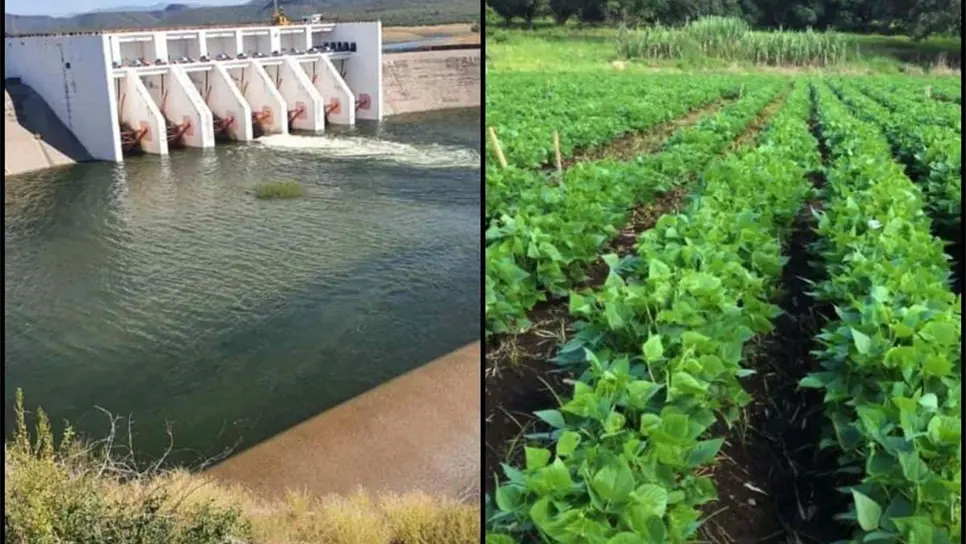 En octubre se definirá el Plan de Riegos del otoño-invierno para Sinaloa: Conagua
