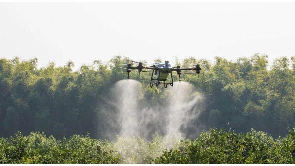 Pilotos fumigadores de Culiacán deben cumplir con normas para evitar daños