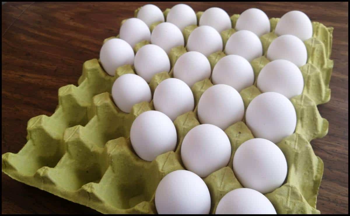 Sinaloa no tiene desabasto de huevo, no hay razón para que suba precio: Avicultores