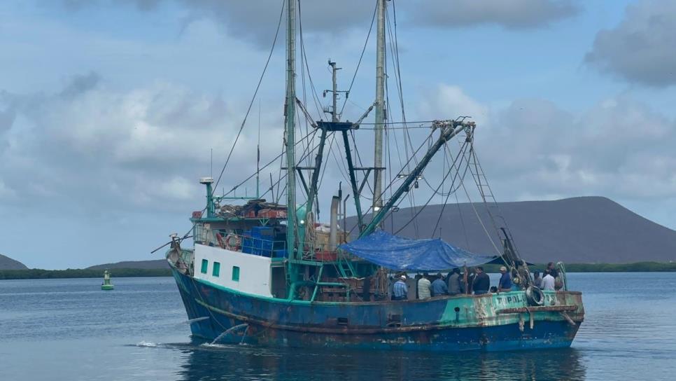 El 70% de los barcos en Sinaloa no saldrá a la captura de camarón 