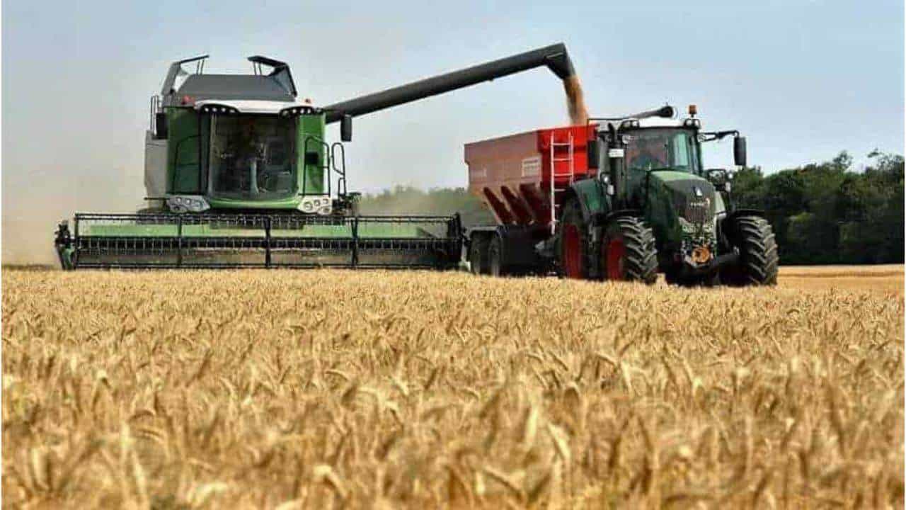 Valle del Carrizo se prepara para siembra de trigo