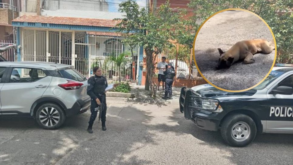 Conductora amarra un perro a su camioneta y lo arrastra por la calle