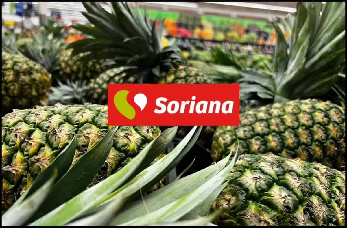 Martes y Miércoles del Campo Soriana: ofertas del 24 y 25 de septiembre 2024