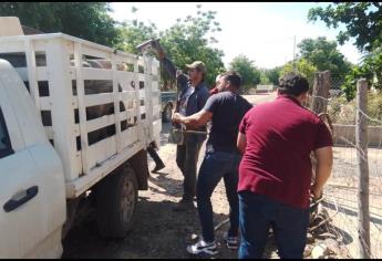 Investigan 3 muertes en Guasave y Sinaloa municipio sospechosas de dengue