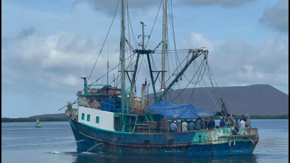 Pesca de camarón: ¿cuánta inversión requiere un barco para salir a altamar?