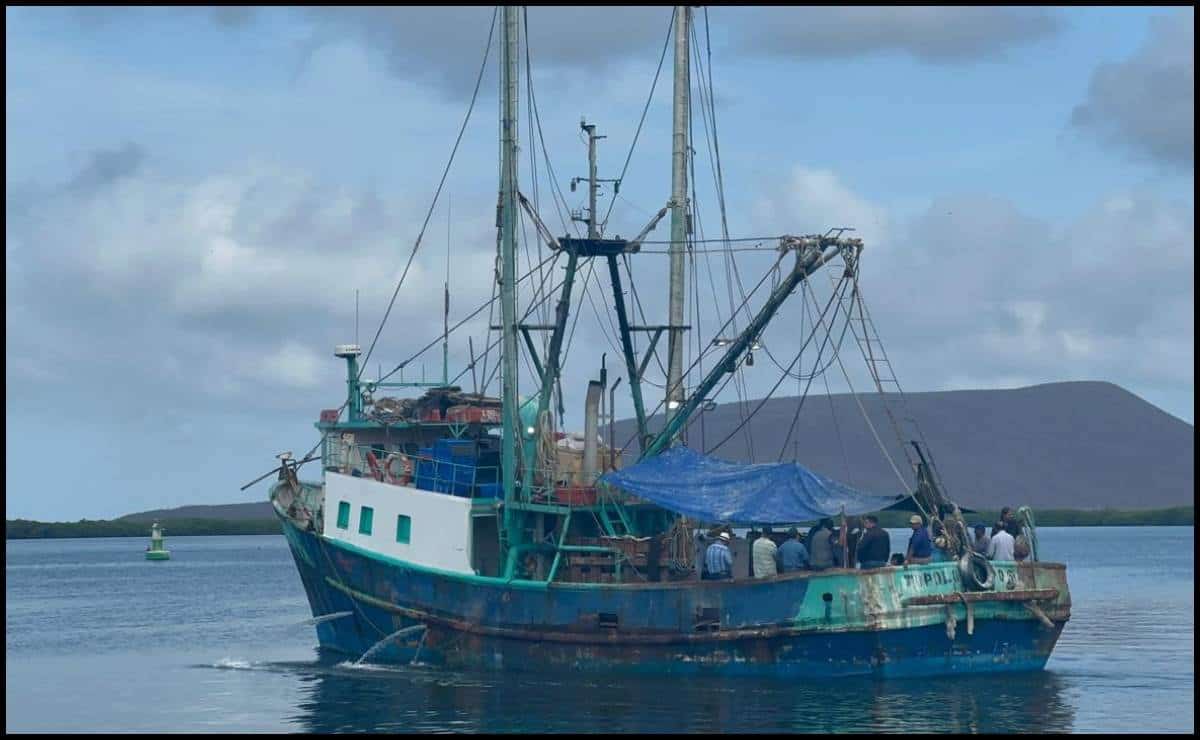 Pesca de camarón: ¿cuánta inversión requiere un barco para salir a altamar?