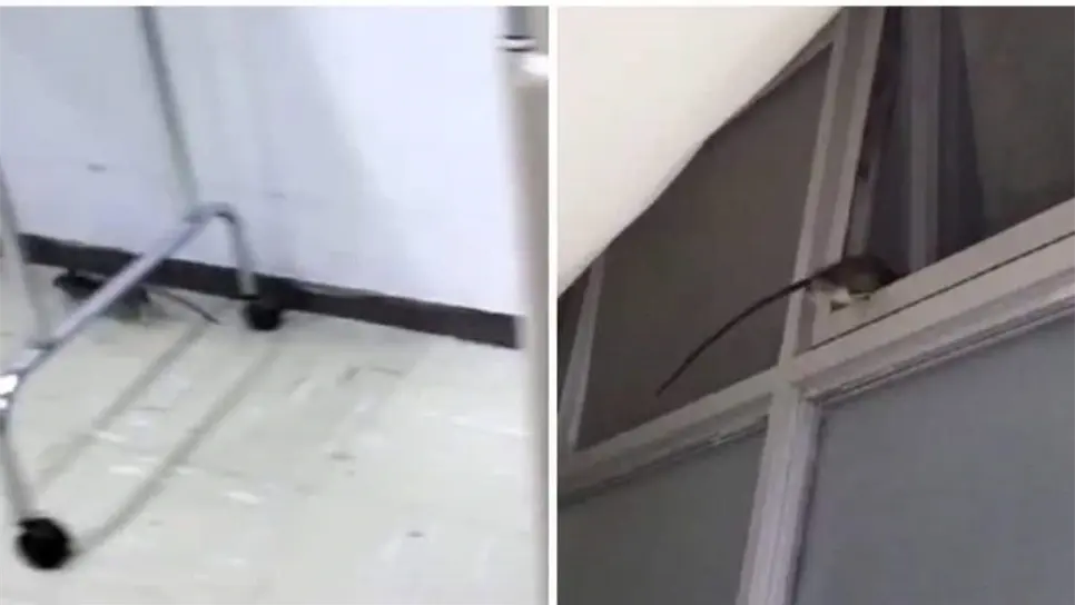 Los pacientes denuncian que se han presentado casos desde el mes de agosto. FOTO: Cortesía