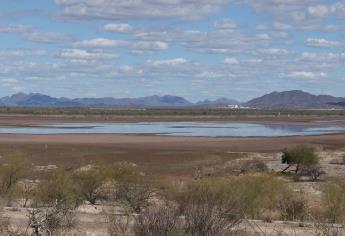 Presas del sur de Sonora registran bajo nivel que impactará en producción de maíz y trigo