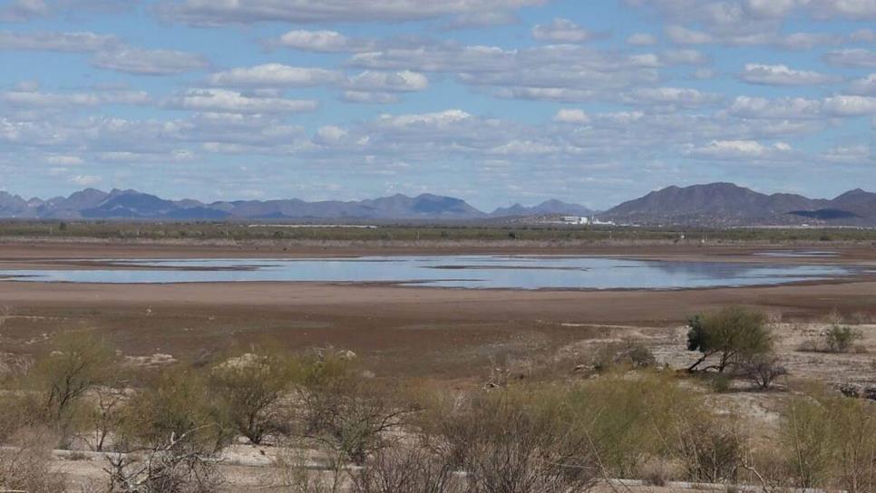 Presas del sur de Sonora registran bajo nivel que impactará en producción de maíz y trigo