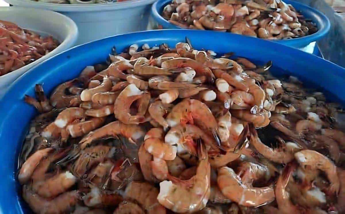 ¿Cuánto cuesta el kilo de camarón más barato en Mazatlán?