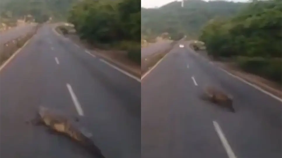 Los hechos ocurrieron sobre la carretera Colima - Manzanillo. FOTO: Cortesía