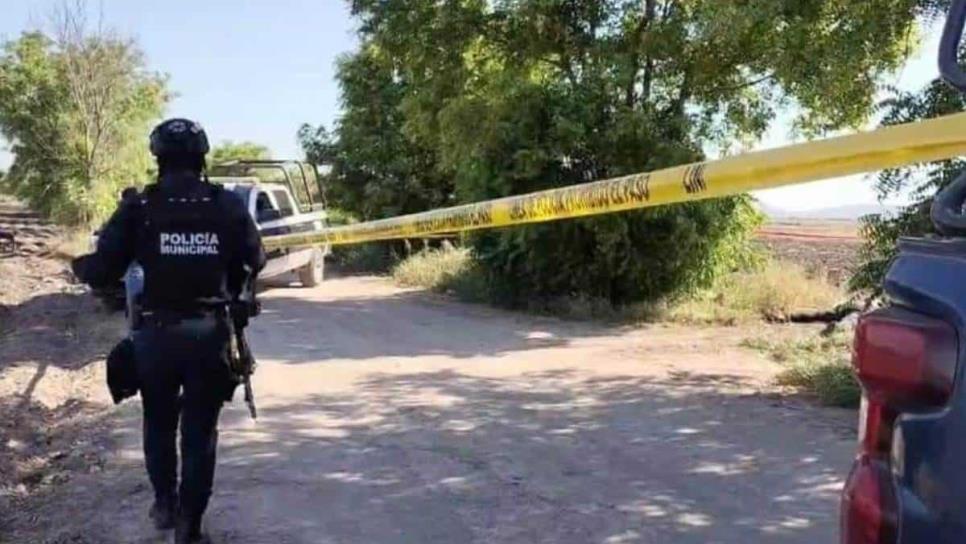 Hallan cuerpo de un hombre en terreno baldío cerca de panteón en Guamúchil