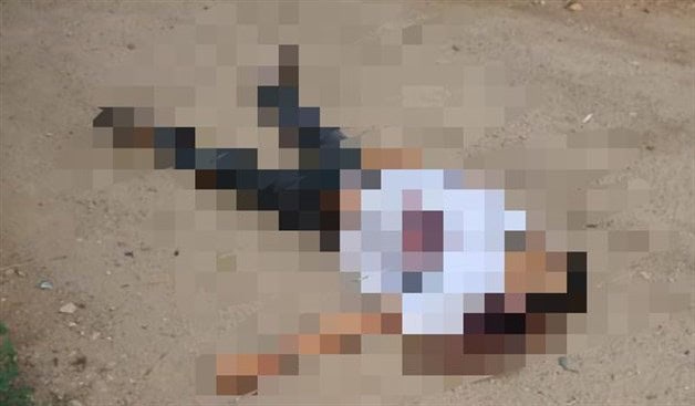 Imagen Placeholder Imagen Placeholder