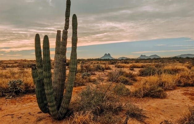 Imagen Placeholder Imagen Placeholder