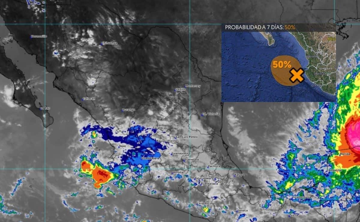 Imagen Placeholder Imagen Placeholder