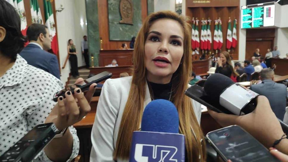 Espero que Harfuch no solo venga a tomarse la foto, que haga acuerdos: Paola Gárate