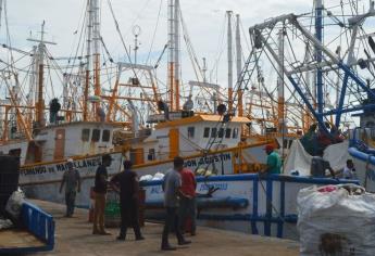 A días del inicio de la pesca de camarón en altamar, así luce el Parque Bonfil 