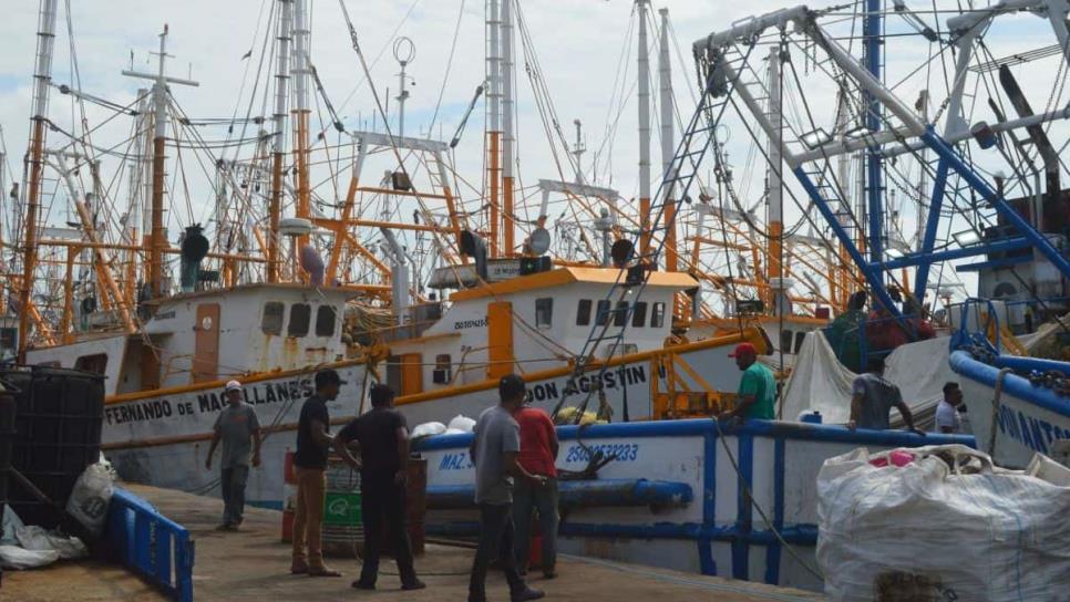 A días del inicio de la pesca de camarón en altamar, así luce el Parque Bonfil 