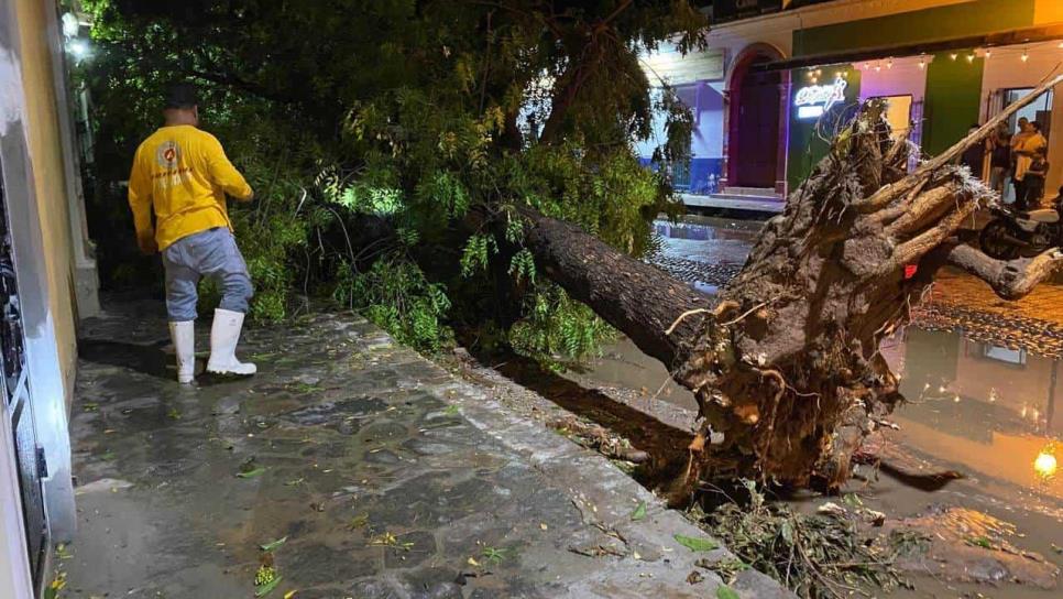 En El Fuerte reportan daños por lluvias y vientos de tormenta