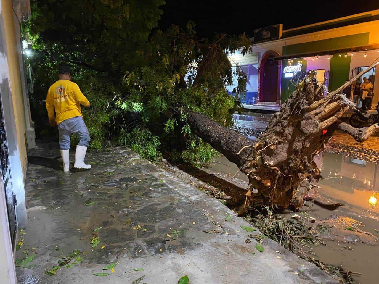 Los daños que dejaron las lluvias en El Fuerte.