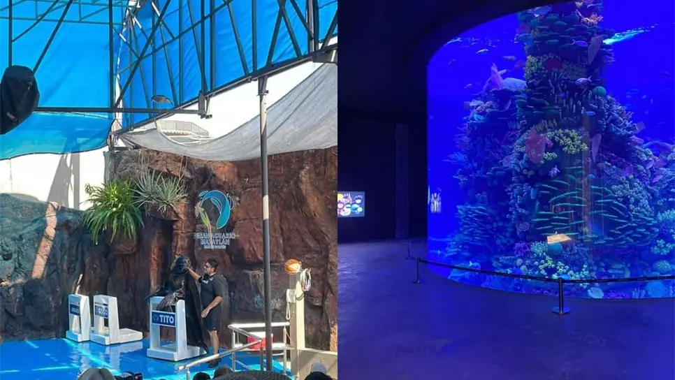 FOTO: Gran Acuario de Mazatlán.