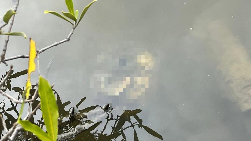 Un hombre pescaba camarón y localiza osamenta en estero de Escuinapa