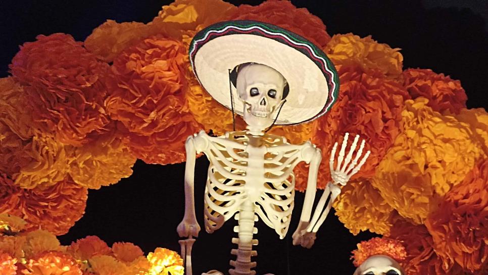 El Día de Muertos llega al Gran Acuario Mazatlán Mar de Cortés con el nuevo espacio "Colores y Tradiciones"