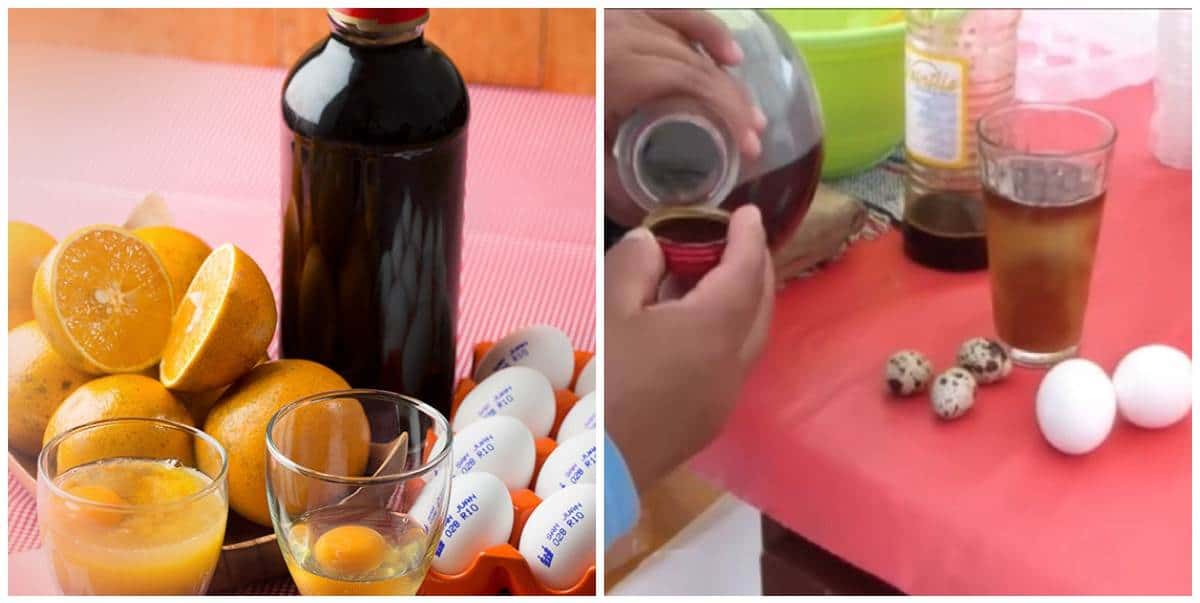 FOTO: Polla, la bebida alcohólica.