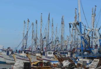 Pesca del camarón: ¿Cuánto tiempo dura pescando un barco en altamar?
