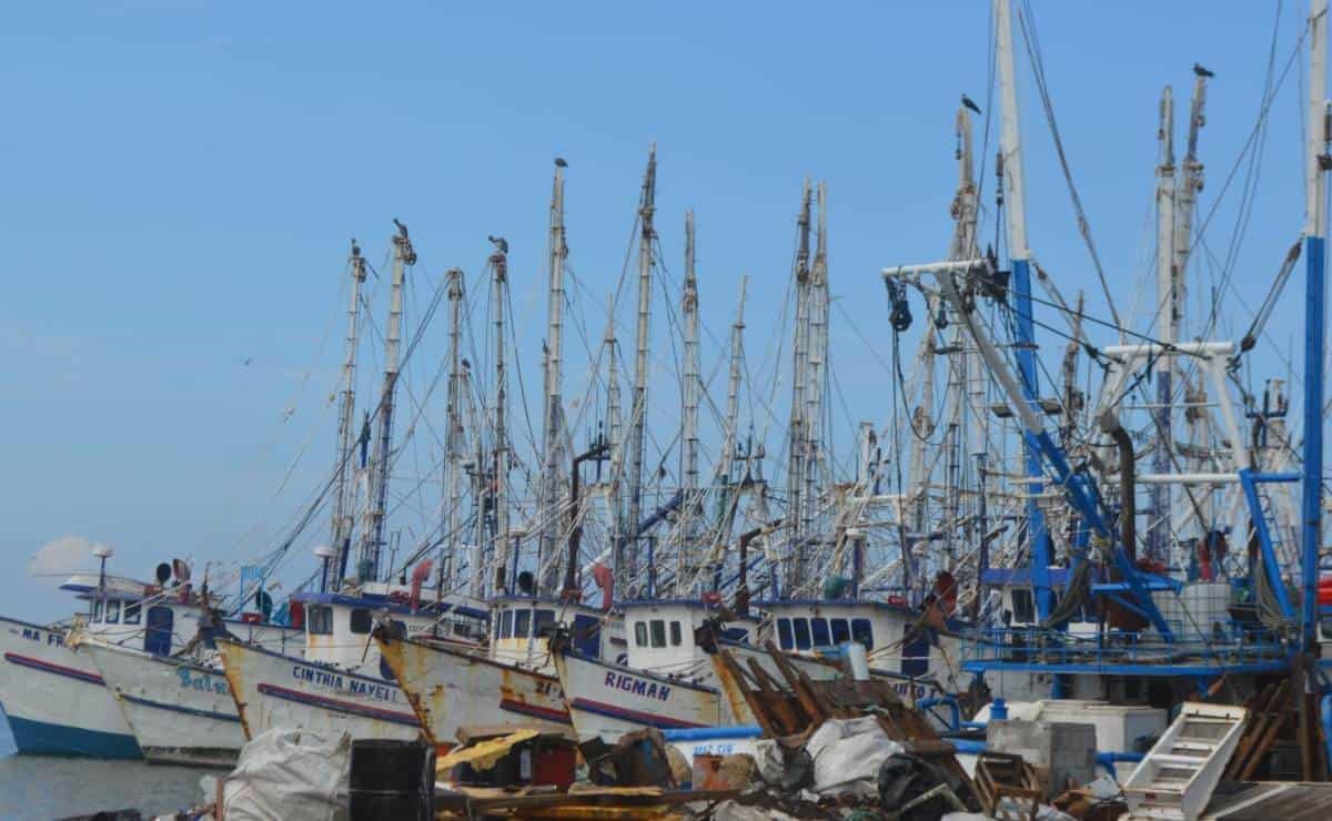 Pesca del camarón: ¿Cuánto tiempo dura pescando un barco en altamar?