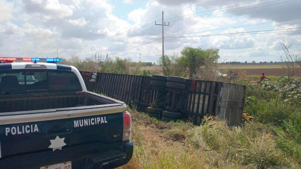 Vuelca tráiler con 14 toneladas de pescado en Guasave