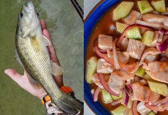 ¿Cuánto cuestan los callos de lobina y cuál es la manera más deliciosa de prepararlos?