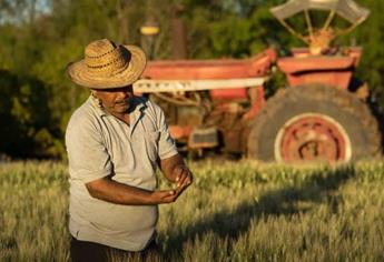 Proponen crear parafinancera rural en Sinaloa