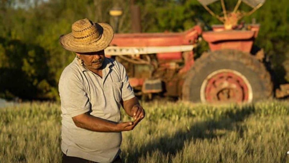 Proponen crear parafinancera rural en Sinaloa