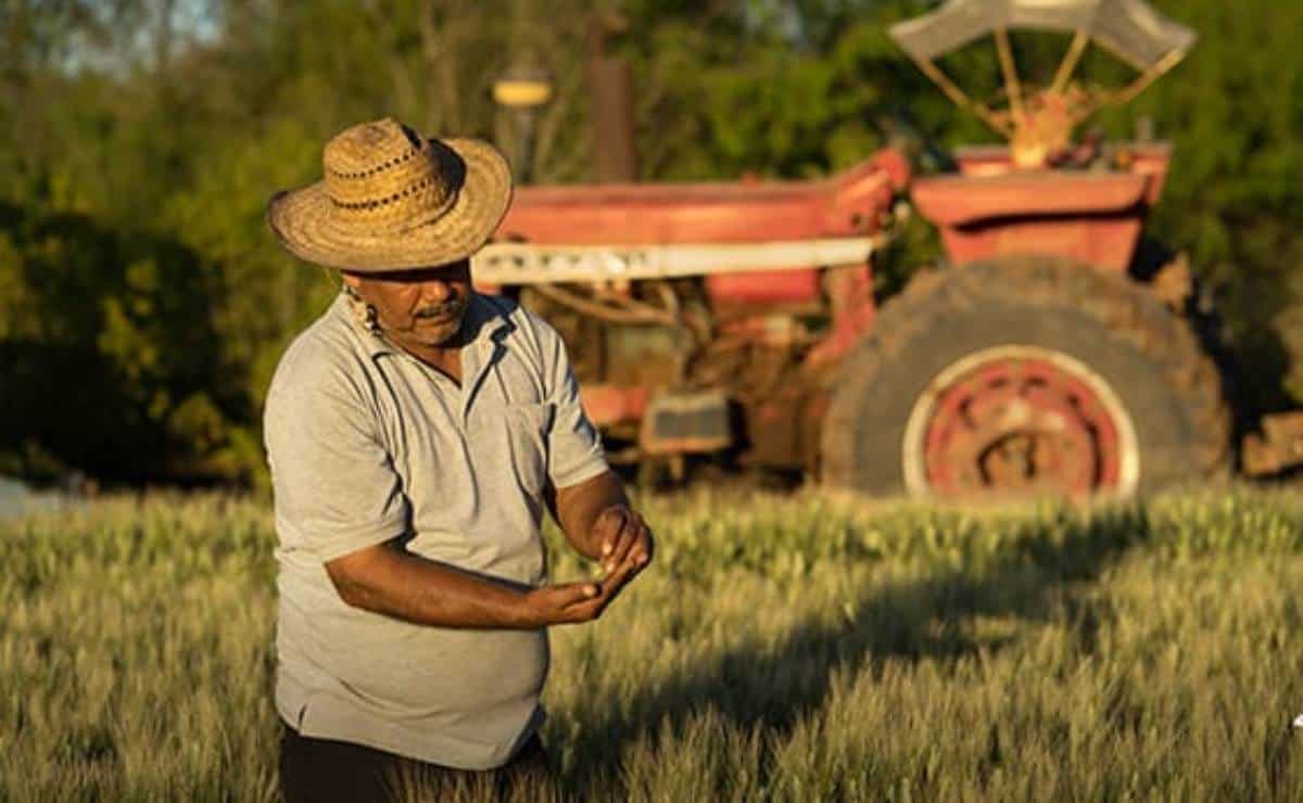 Proponen crear parafinancera rural en Sinaloa