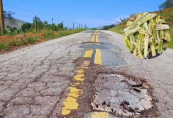 Cenizas de bagazo de caña, material que se usa para pavimentar carreteras en otros países