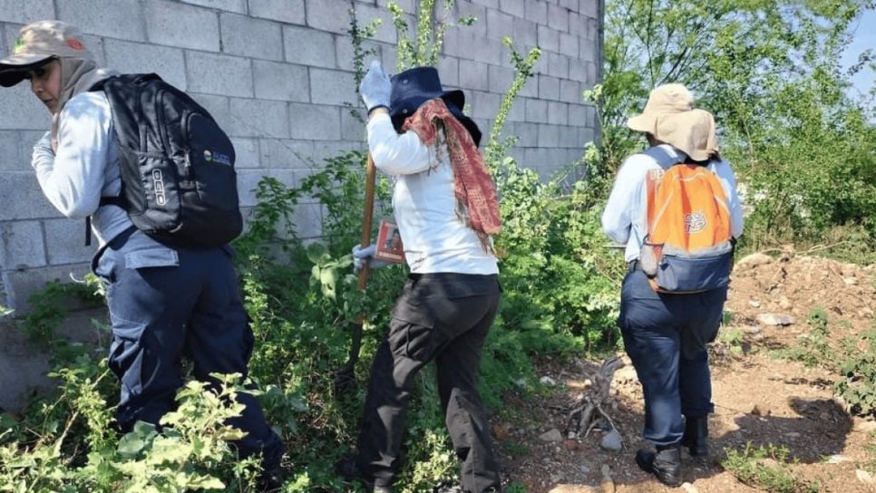 Sabuesos Guerreras localizan unos restos humanos en la colonia Punta Azul, en Culiacán