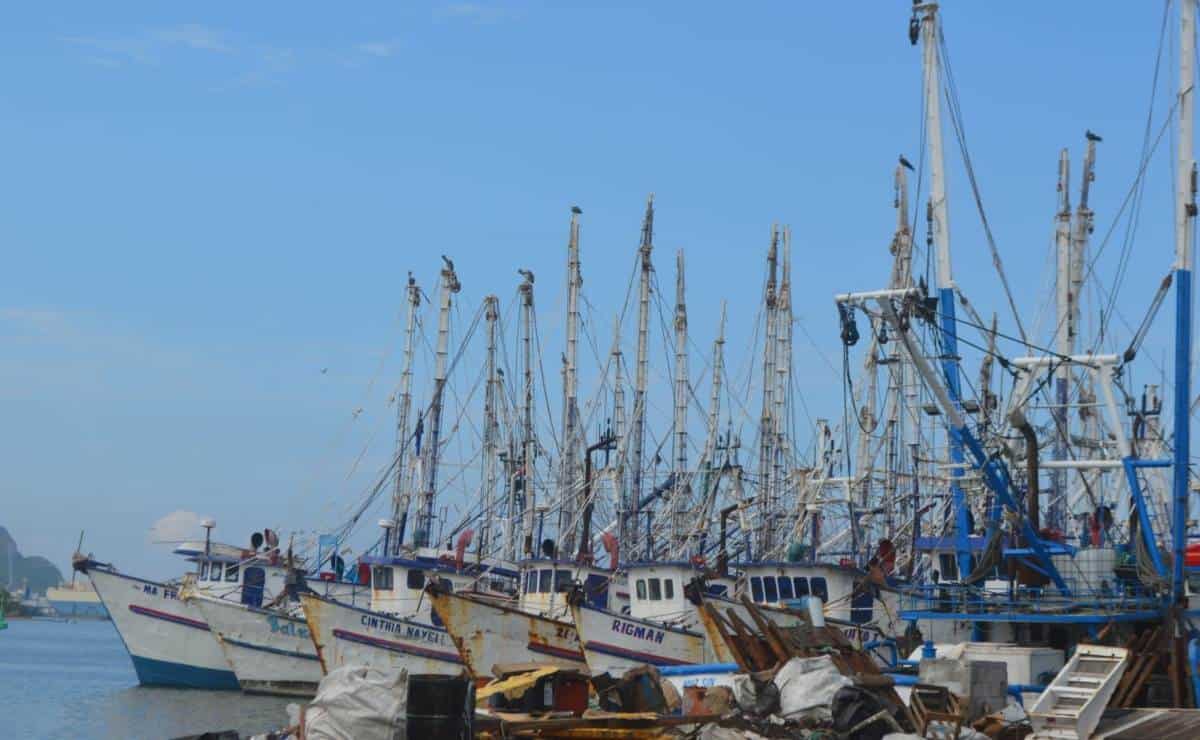 Pesca de camarón en altamar, de mal en peor