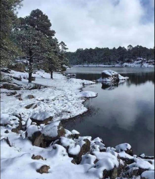 Imagen Placeholder Imagen Placeholder