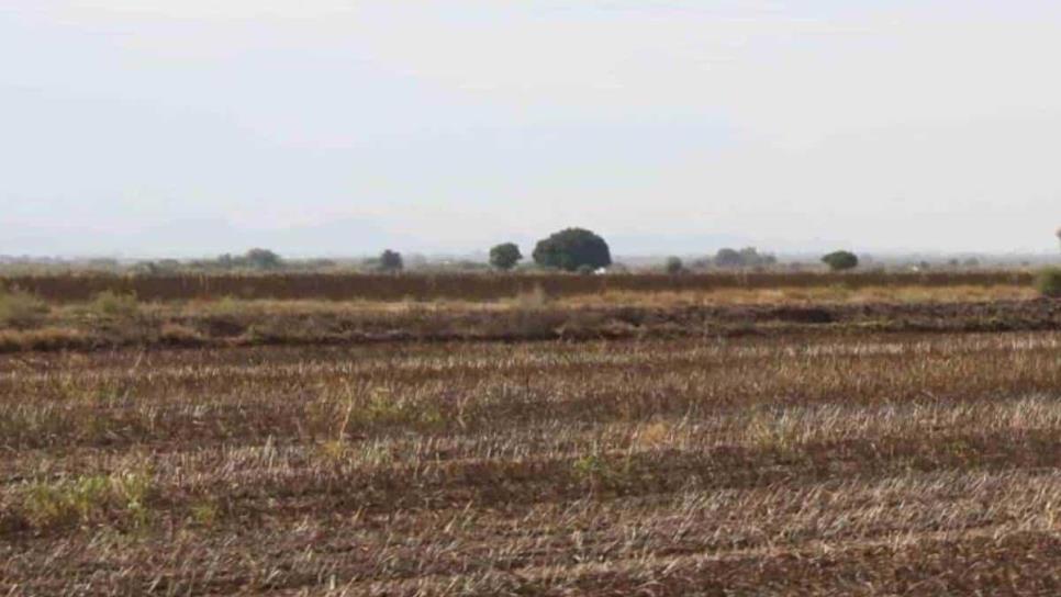 Temporaleros de Choix piden seguro catastrófico por sequía 