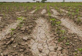 El Carrizo enfrentará la peor restricción de agua agrícola